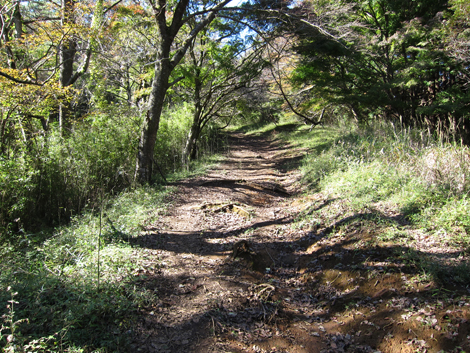 20201105hike (76)
